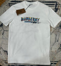 Burberry Color Edition